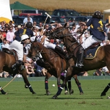 Photoscience - Polo and Wedding photographers in Hampshire Surrey and Sussex